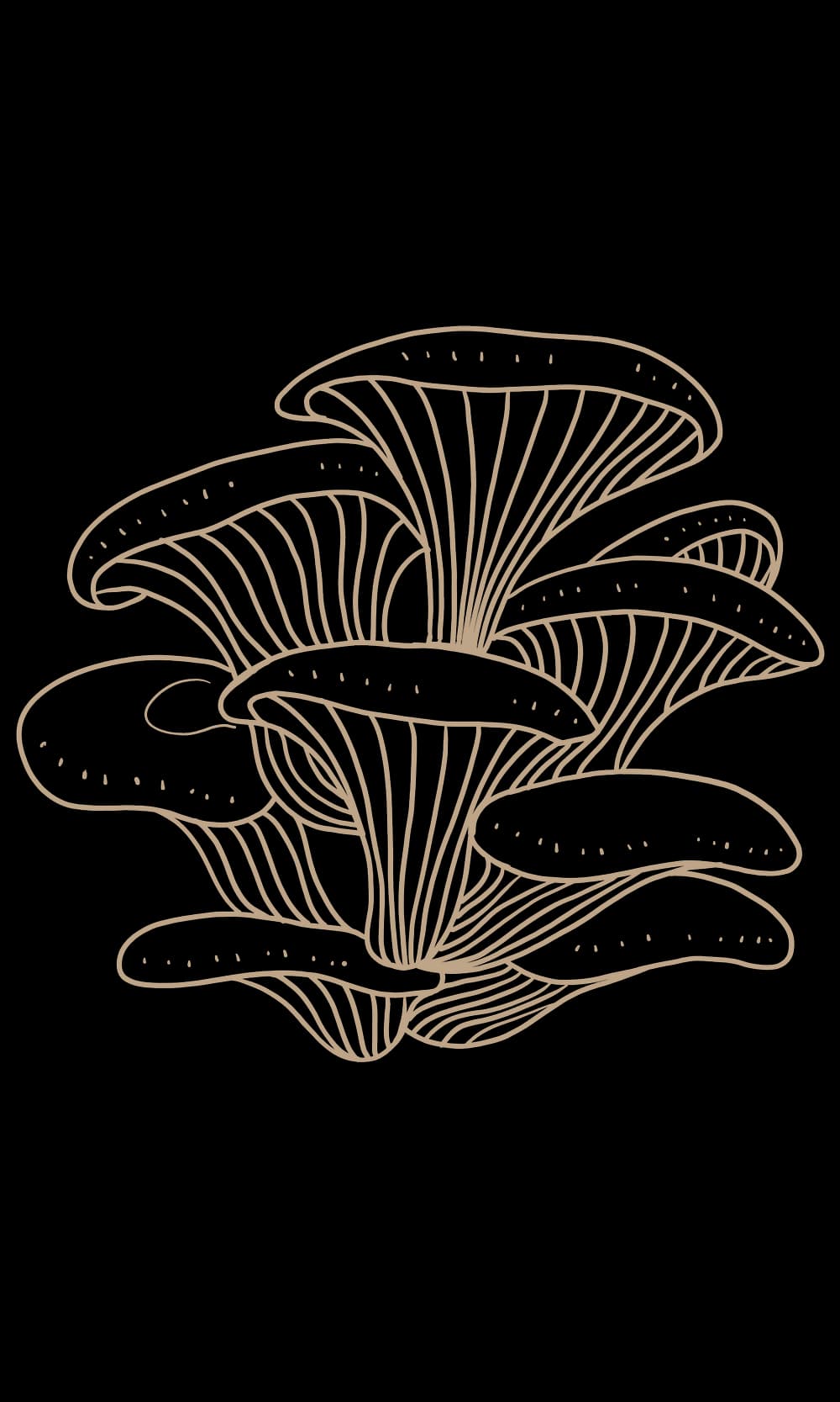 The Conscious Physician Podcast